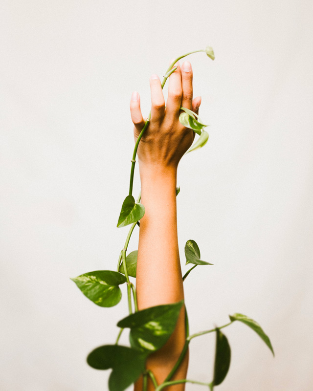 _1adrien-king-XzBluXxBoyQ-unsplash