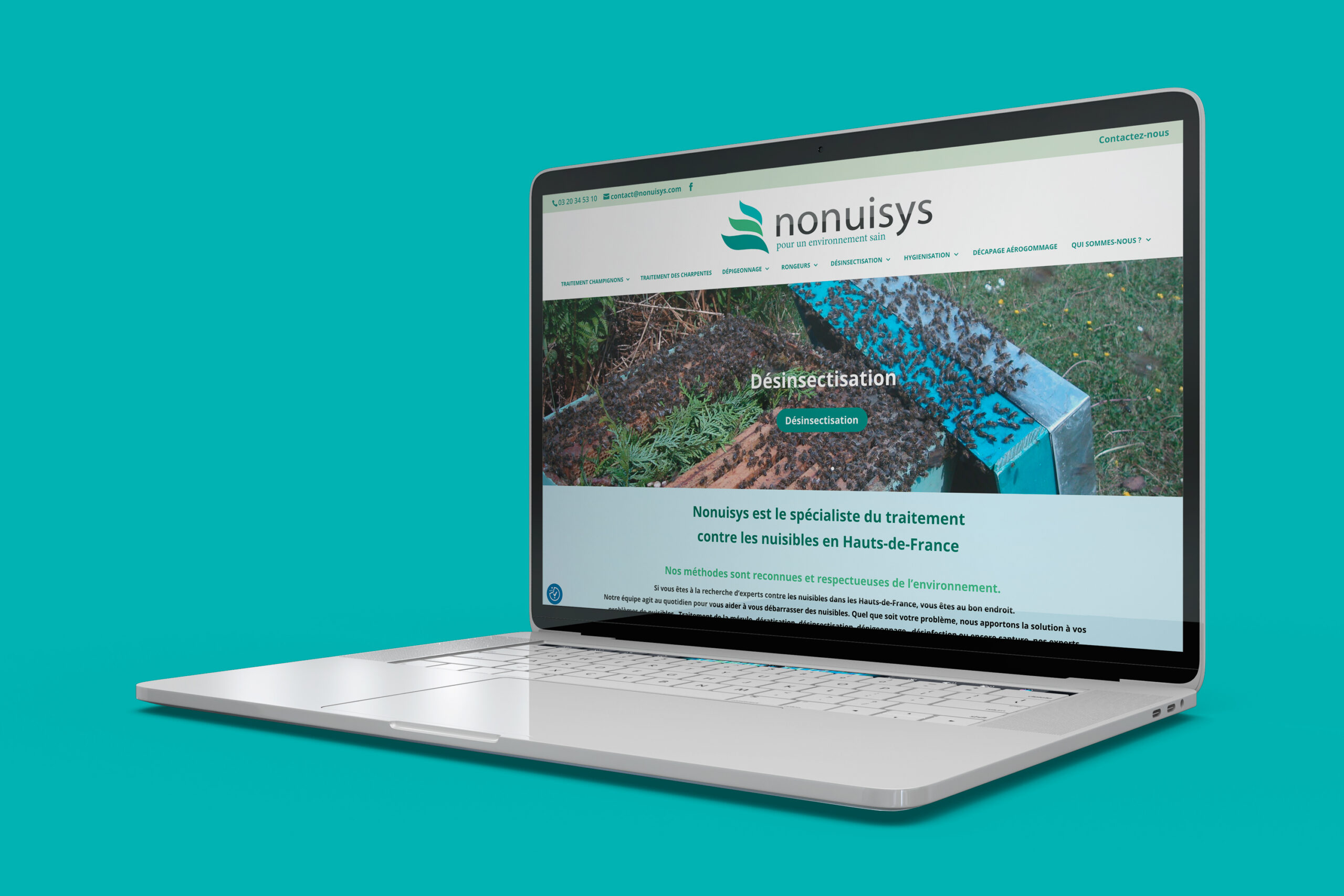 Création du site vitrine de nonuisys